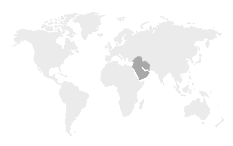 Global Distributors | Middle East | Cubis Systems