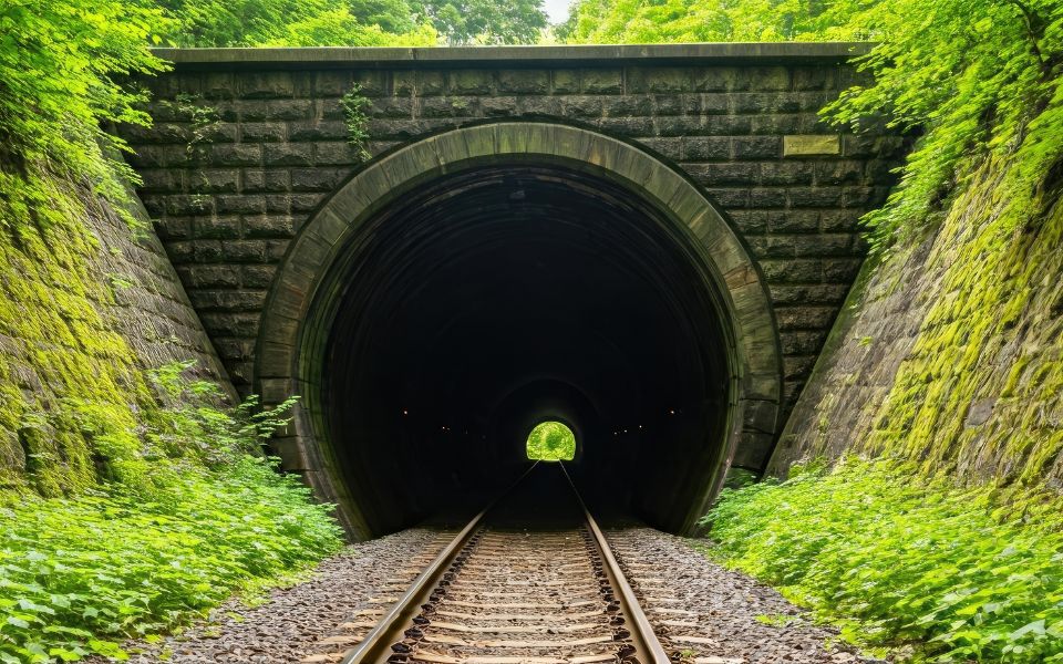 3. Vegetation and lineside ignition